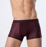 Ice silk men's underwear mesh boxer